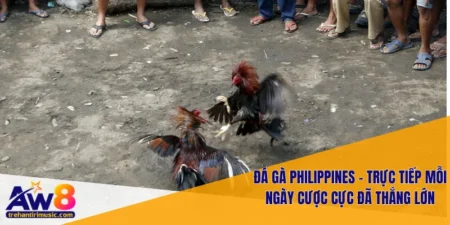 Đá Gà Philippines